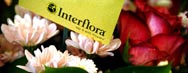 delegacion interflora
